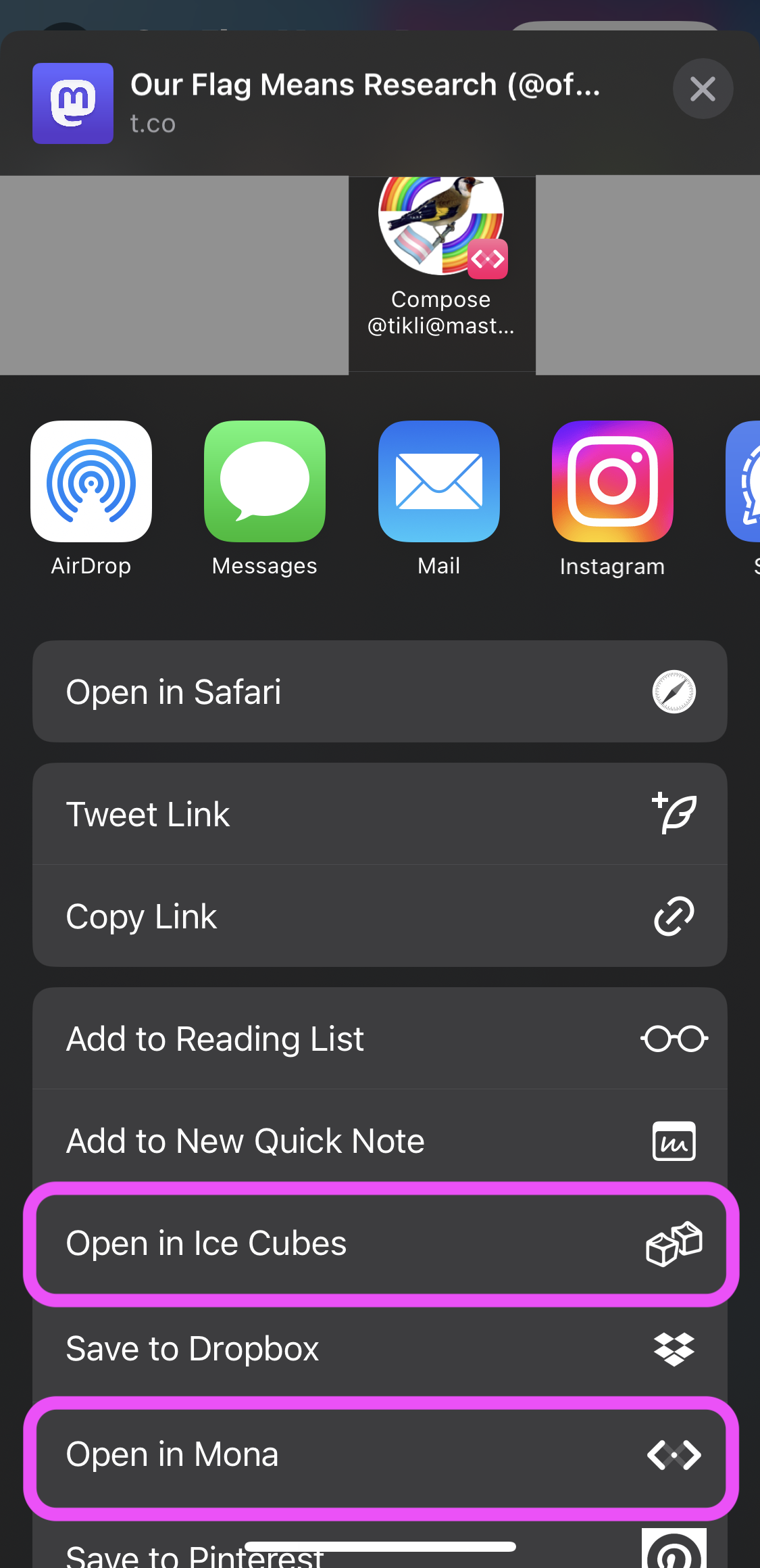 A screenshot of the menu of available actions on iPhone's Share Sheet. The link could be shared on different apps, opened in browser, tweeted or copied, added to reading list etc. It can also be opened in Ice Cubes or in Mona.